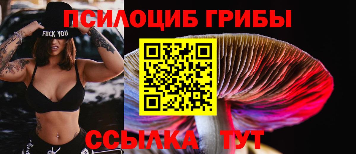 Галлюциногенные грибы MAGIC MUSHROOMS Дмитров