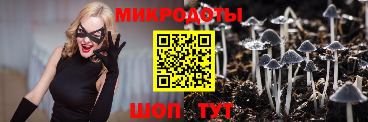 Галлюциногенные грибы Psilocybe  Вход с VPN  Дмитров 
